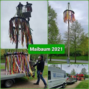 Maibaum 2021