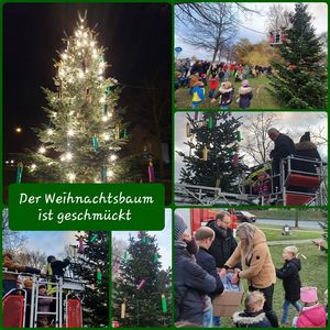 Der Weihnachtsbaum am Borker Kreisverkehr ist geschmückt